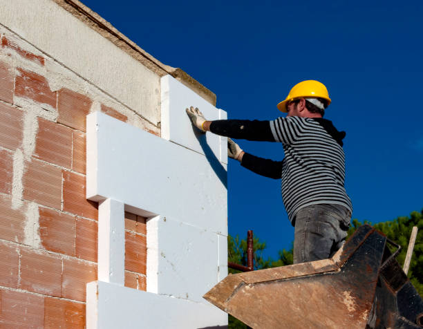 Best Insulation Removal  in Potomac Heights, MD