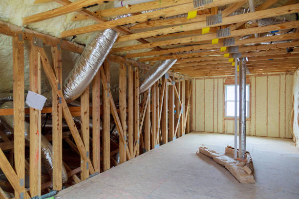 Best Insulation Contractors for Homes  in Potomac Heights, MD
