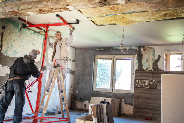 Best Blown-in Insulation  in Potomac Heights, MD