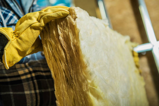 Best Affordable Insulation Services  in Potomac Heights, MD