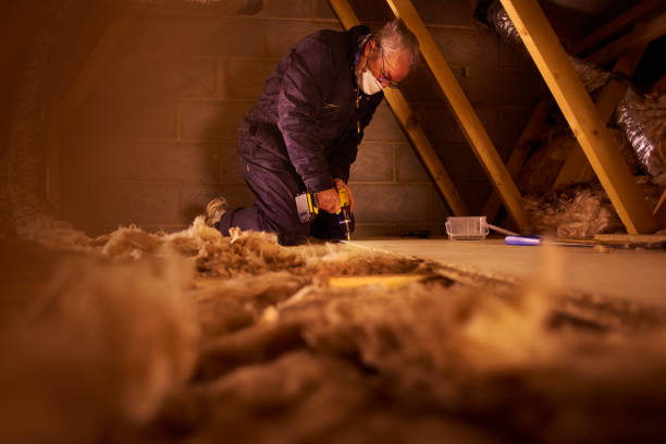 Best Spray Foam Insulation  in Potomac Heights, MD