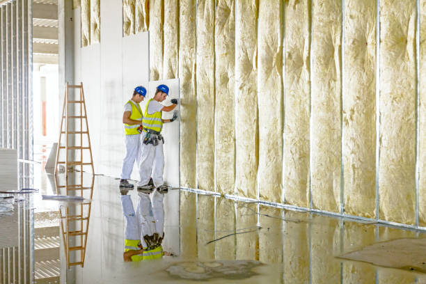 Best Wall Insulation Contractor  in Potomac Heights, MD